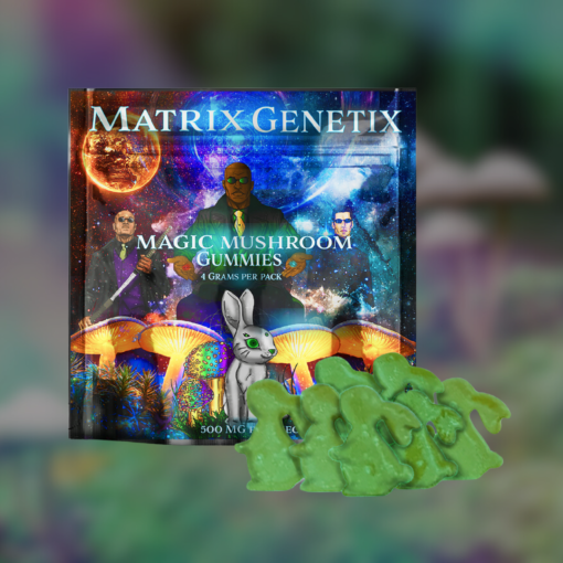 Functional Mushroom Gummies for Clarity & Focus
