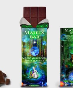 Vegan Dark Chocolate Mushroom Bar
