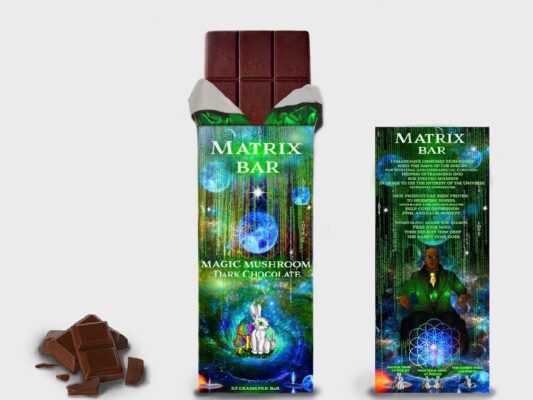 Vegan Dark Chocolate Mushroom Bar